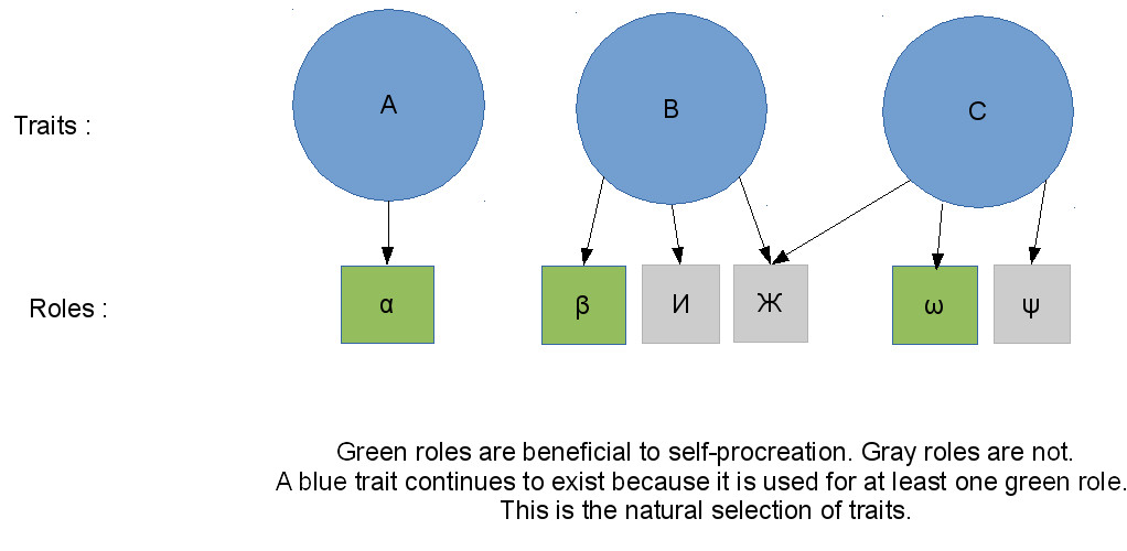 Of the selection of traits and their roles