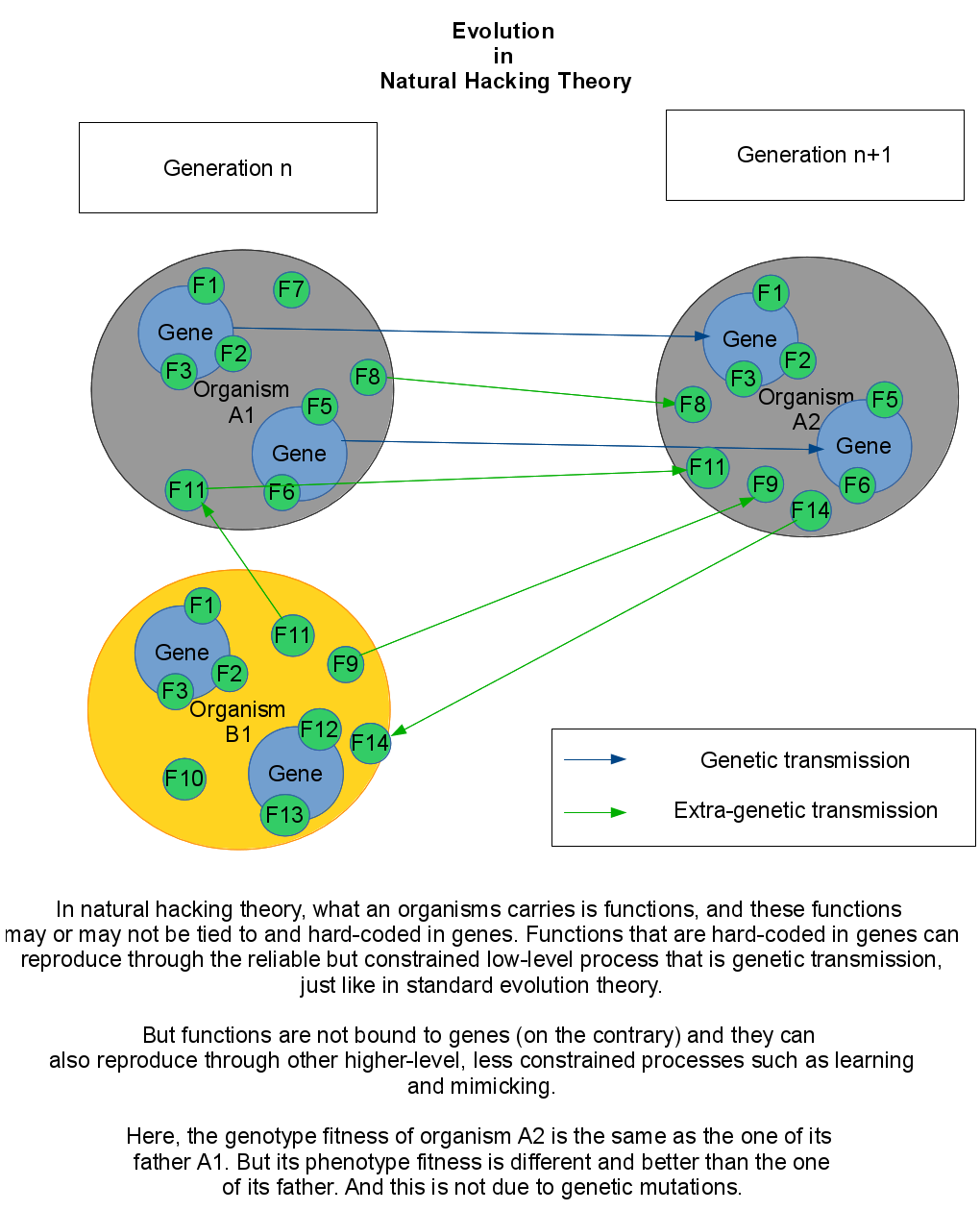 Evolution in natural hacking thesis