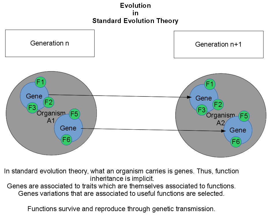 Evolution in standard evolution theory